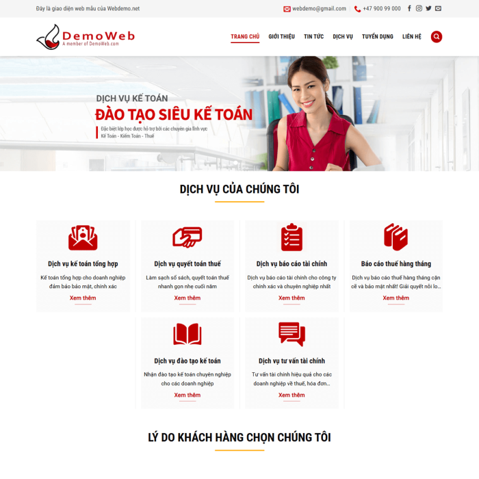Mẫu website dịch vụ kế toán - Ms:028