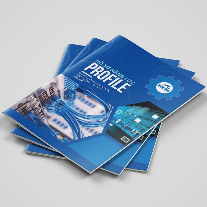 HSNL Công Ty Camera Kim Mã