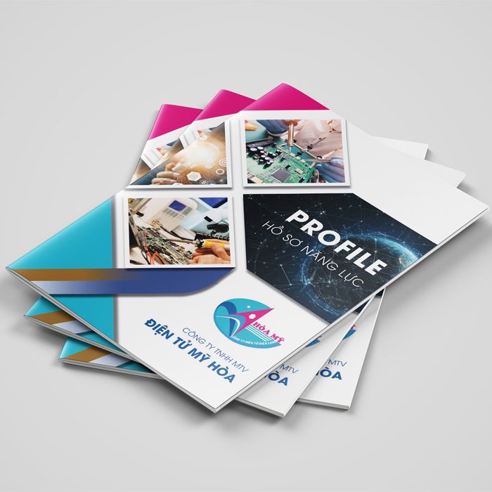 HSNL Công Ty Điện Tử Mỹ Hòa