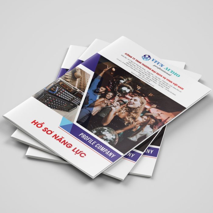 HSNL Công Ty Âm Thanh Vfun Việt Nam