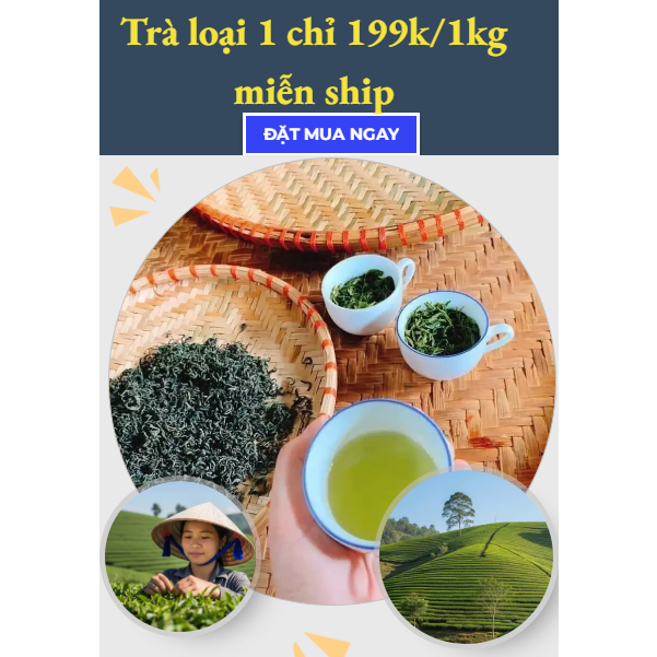 Mẫu landing page trà xanh thái nguyên - Ms:011